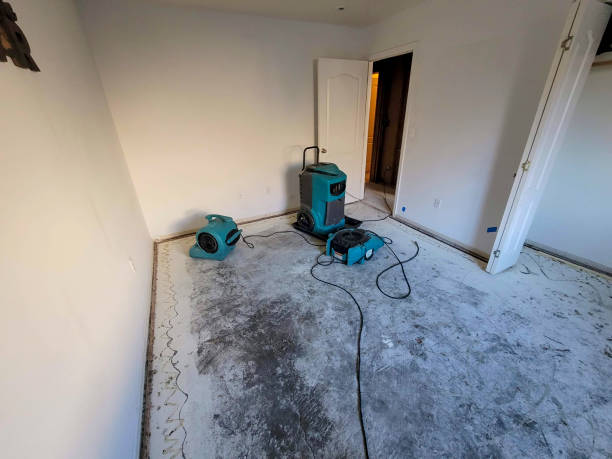 Best Basement water damage restoration  in North Hudson, WI