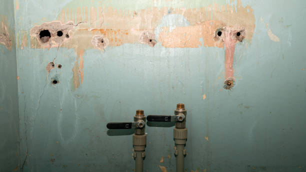 Best Water damage restoration specialists  in North Hudson, WI