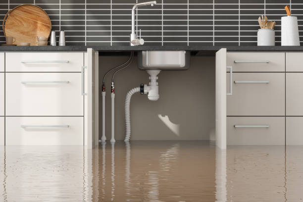 Best Flooded house restoration  in North Hudson, WI