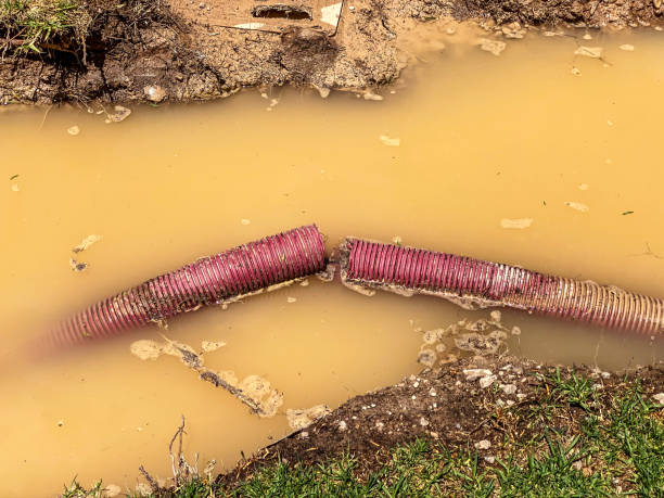 Best Professional water damage repair  in North Hudson, WI