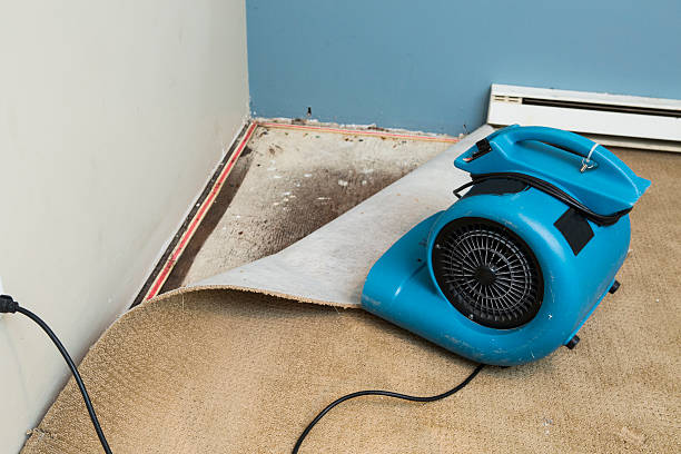 Best Water damage repair service  in North Hudson, WI